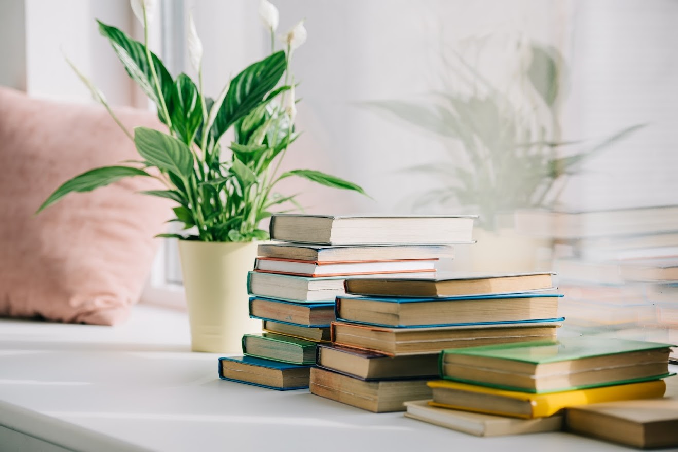 Indoor Plants — Chicago, IL — Affordable Moving Company, Inc.
